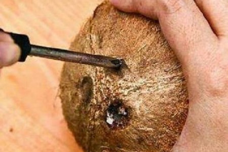 椰子怎么打开吃椰肉